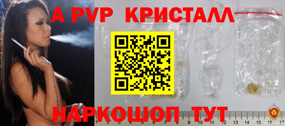 Электрогорск  Alfa_PVP  A PVP крисы CK  Вход с VPN  Alfa_PVP СК КРИС 