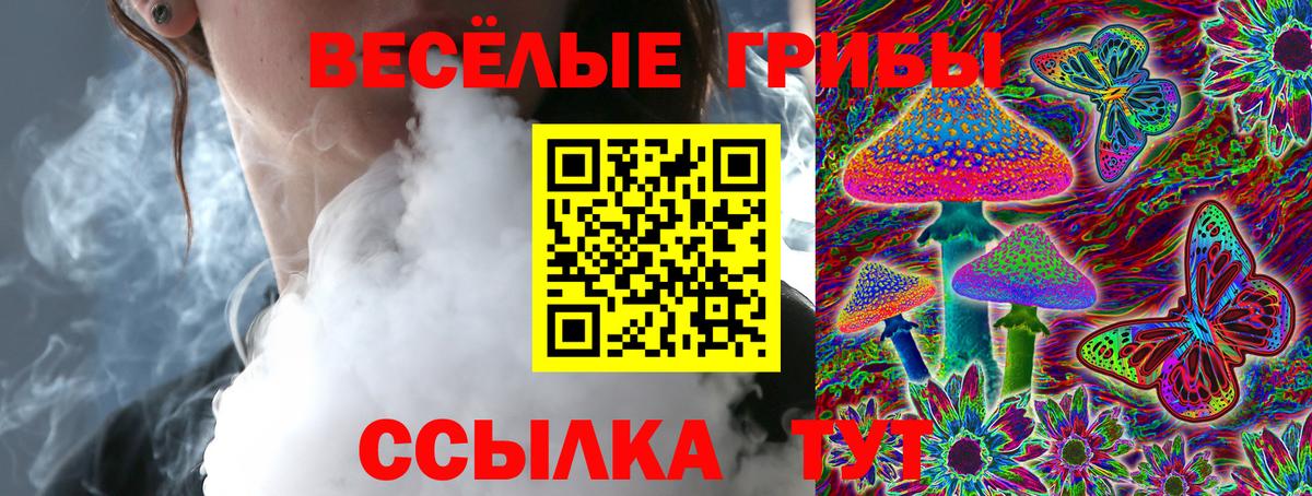 Галлюциногенные грибы GOLDEN TEACHER  Вход с VPN  Электрогорск  Псилоцибиновые грибы ЛСД 