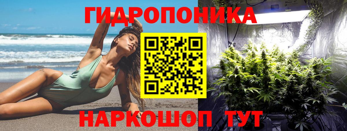 Марихуана White Widow Электрогорск